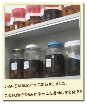 梅酒試作